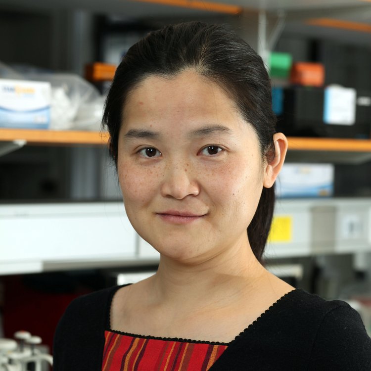 Yu Sun